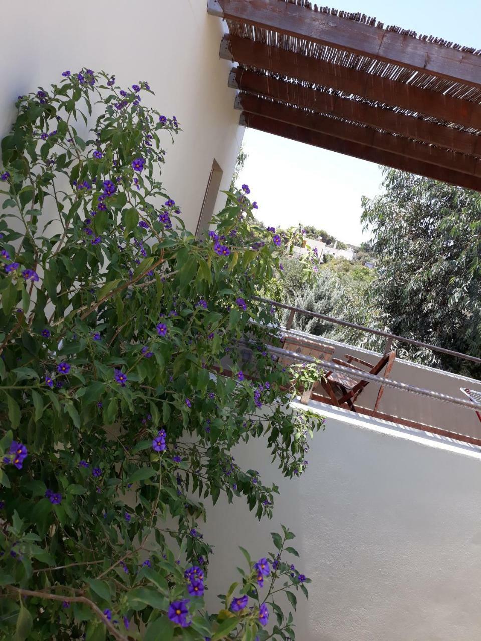 Vilana Studios Kalamos  Экстерьер фото