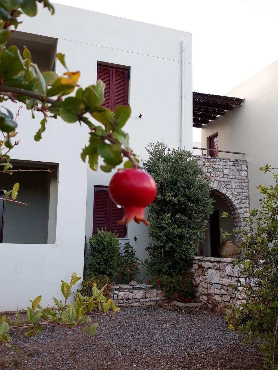 Vilana Studios Kalamos  Экстерьер фото